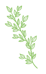 herb