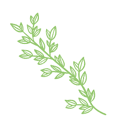 herb